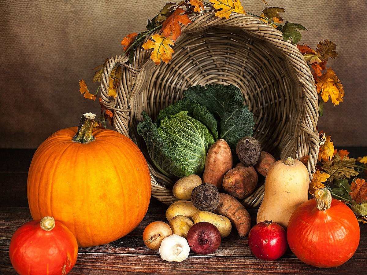 27.09.2019_pumpkin-1768857_1920.jpg