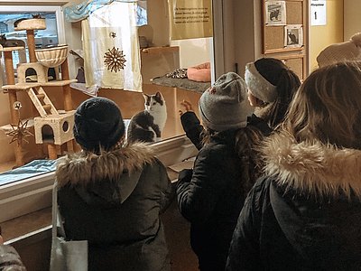 20.12.19_Besuch_Tierheim.jpg 