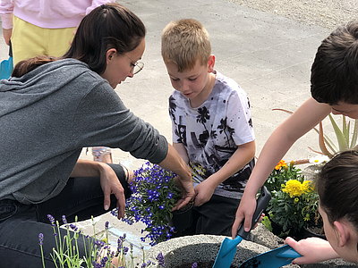19-05-18_Pflanzenaktion___11_.JPG 